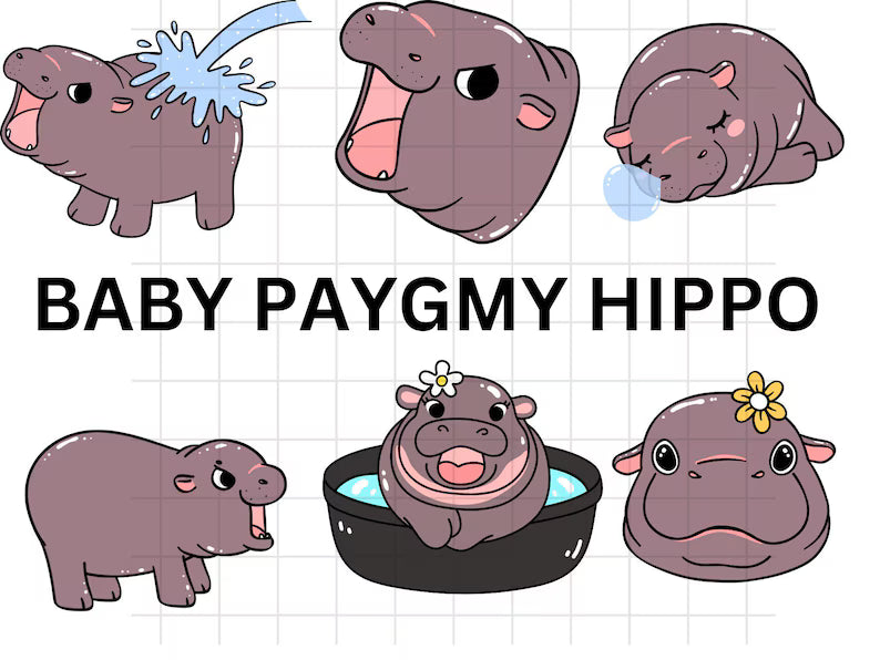 Hippo SVG\ Baby Hippo Svg\ Cute Hippo Svg\ Hippo clipart\ Boy Girls Hippo birthday shirt\ Jungle animals Hippo Cut files Digital Download